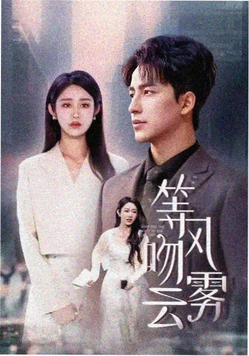 被窝电影手机在线免费观看剧集长夜将尽封面